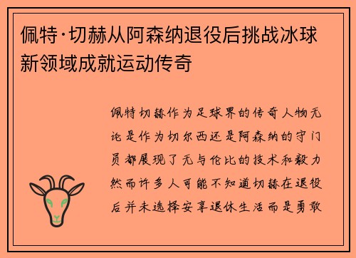佩特·切赫从阿森纳退役后挑战冰球新领域成就运动传奇
